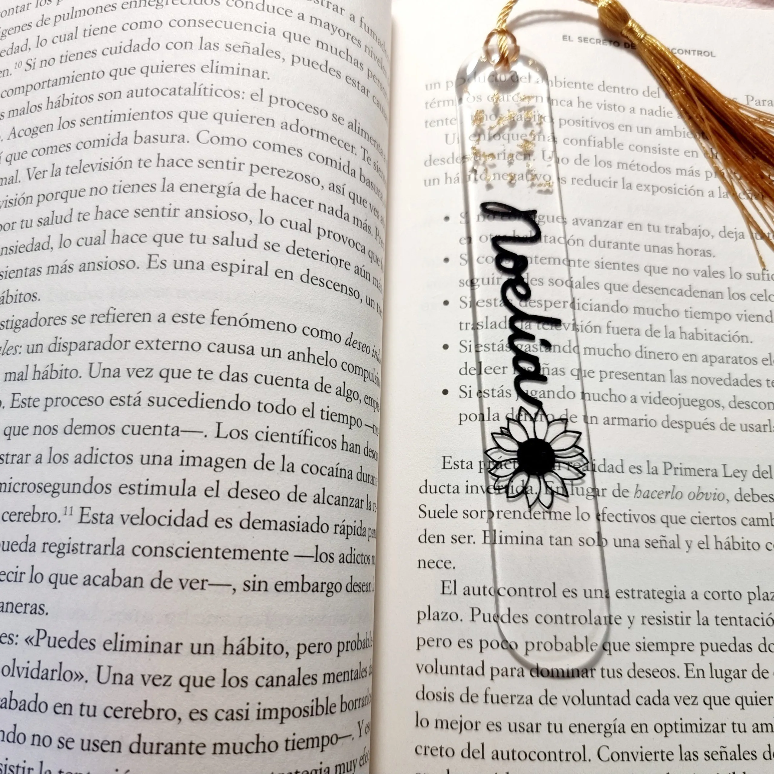 Marcapáginas nombre y girasol 🌻