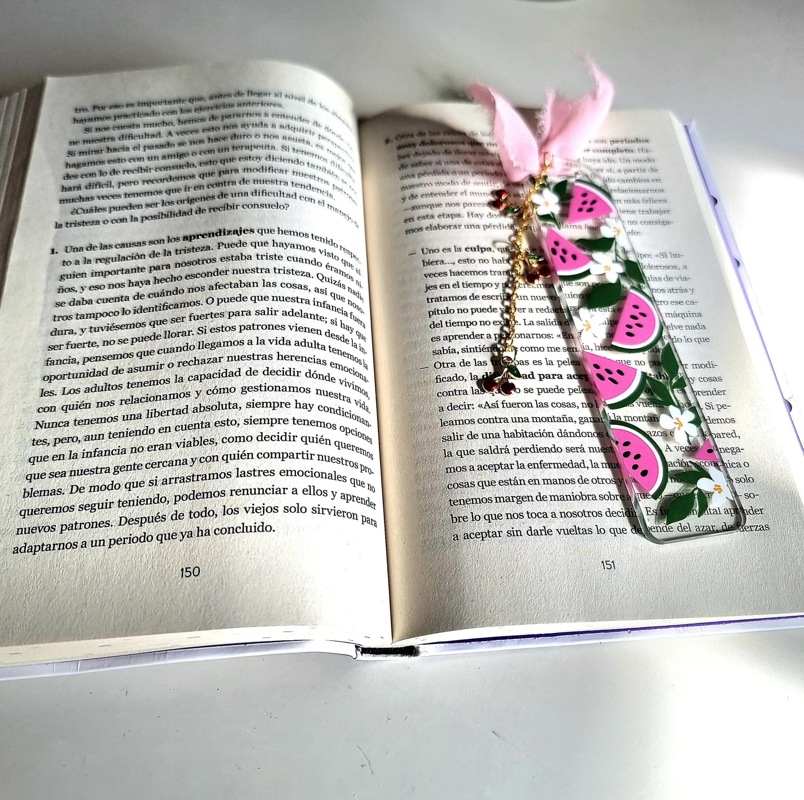 Marcapáginas sandias 🍉 - Imagen 2