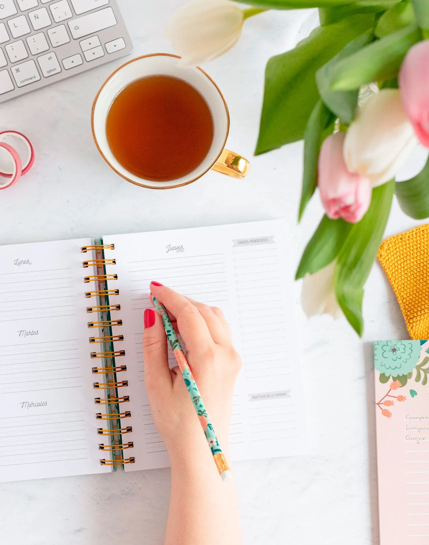 Agenda Story Beginning - Imagen 2