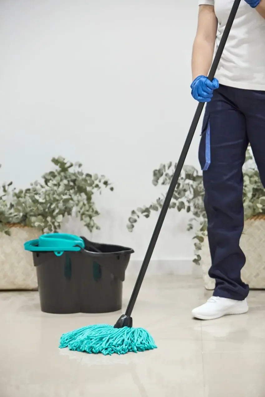 Fregona EVERSEA - Imagen 2