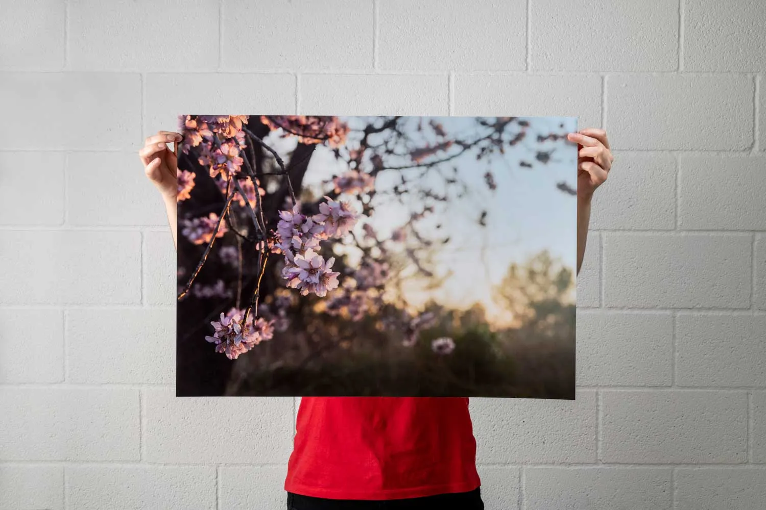 Póster papel fotográfico - Imagen 3