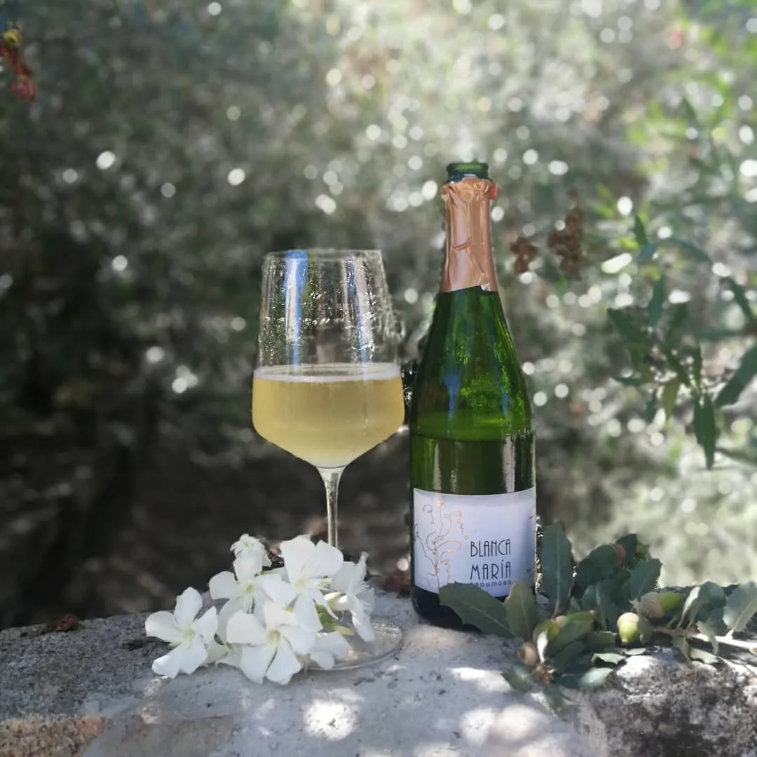 Vino espumoso Brut Nature »Blanca María» gran reserva - Imagen 4