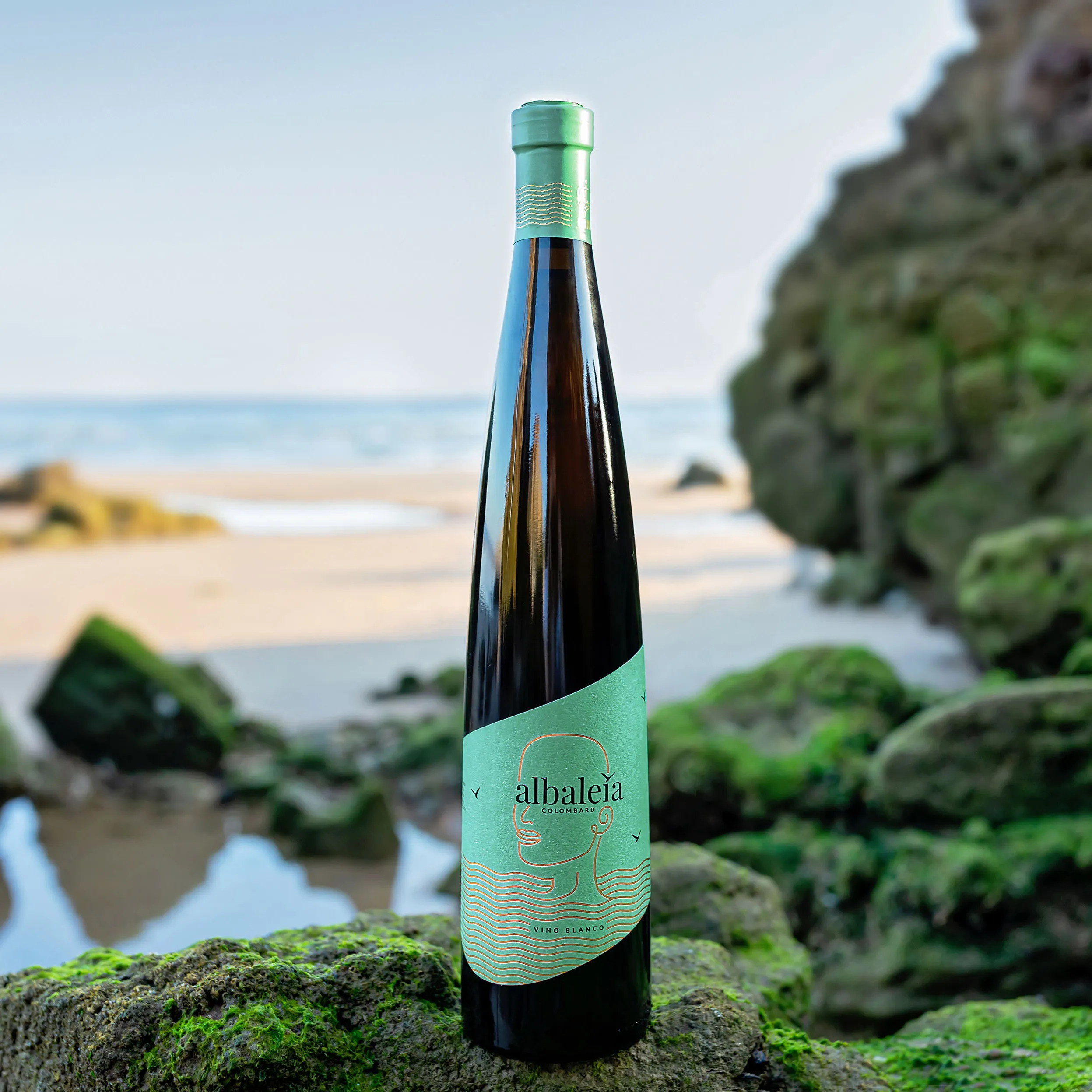 Vino blanco Albaleia Colombard - Imagen 2